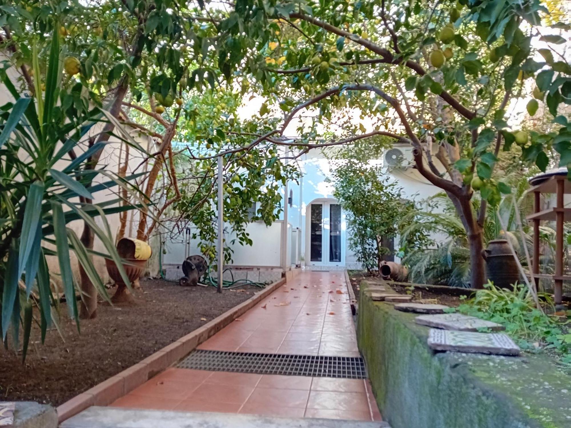 Villa Sofia E Sveva Napoli Oda fotoğraf